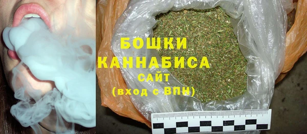 PSILOCYBIN Корсаков