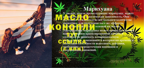 прущие грибы Куйбышев