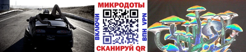 mega   Медвежьегорск  Галлюциногенные грибы MAGIC MUSHROOMS 